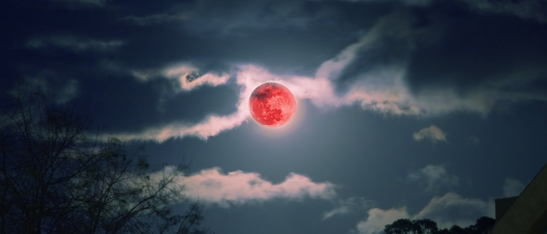 How to See the ‘Blood Moon’ Total Lunar Eclipse on March 3