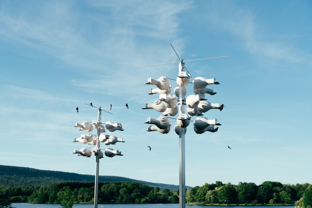 Electric Air Taxis Set to Take Flight Across 26 U.S. States